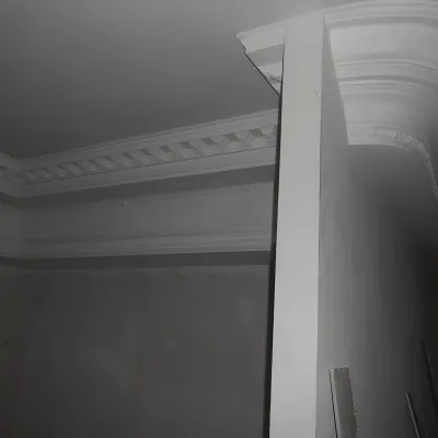 Remont Kvartiry Na Moyke 82 Spb Montazh Shirokoy Lepniny