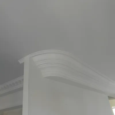 Remont Kvartiry Na Moyke 82 Spb Montazh Shirokoy Potolochnoy Lepniny