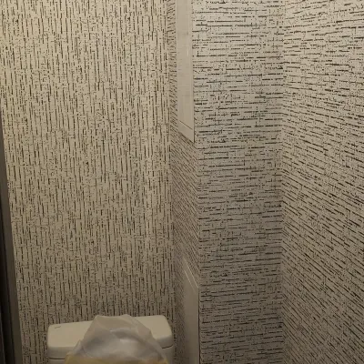 Remont Kvartiry Lensoveta 58 Spb Kosmetika Tualeta